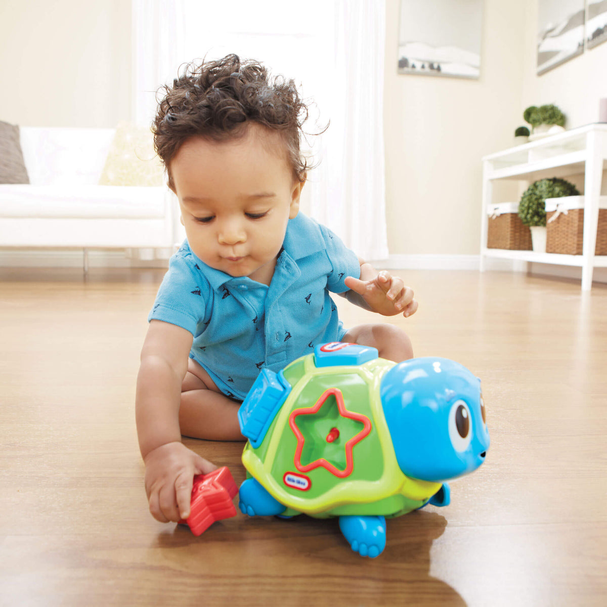 Crawl 'n Pop! Turtle - Shape Sorter & Crawling Toy | Little Tikes | Little Tikes Sale